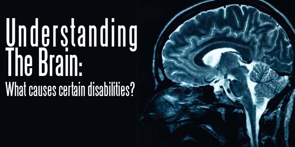 Understanding the Brain: What causes certain disabilities?