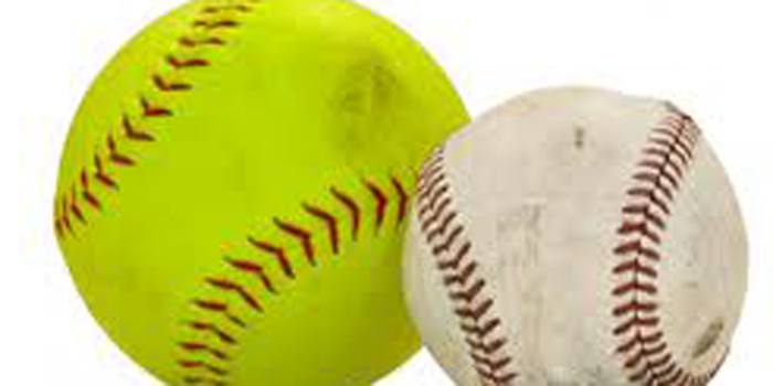 Baseball, Softball Teams Make Playoffs