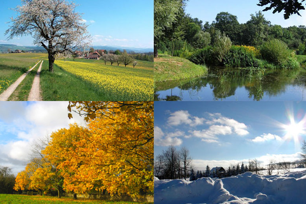 Facts about the four seasons