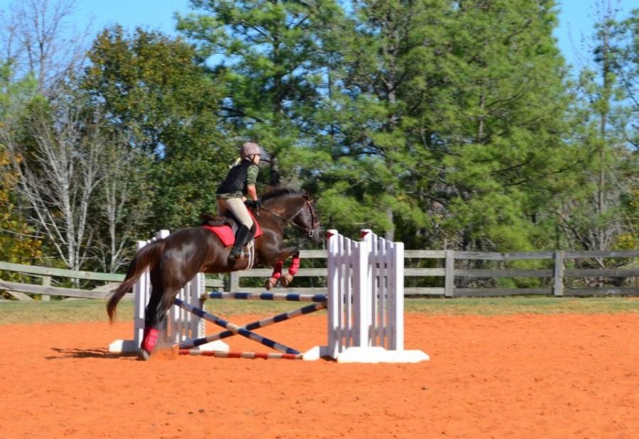 Abbey Holiman competes in equestrian horseback riding competition. (Photo courtesy of Holiman family)