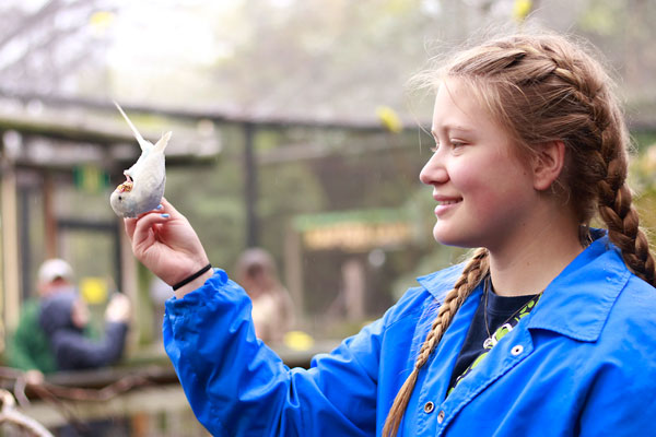 On an AP Biology field trip, Shelby Hannaman, 12, feeds a bird at the Fort Worth Zoo on March 10. (Brooke Jackson photo)