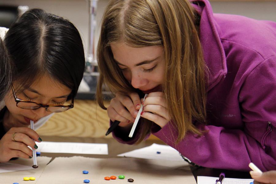 Fiona Hoang, 12, and Sarah Haslam, 12, try to collect as much candy as they can in this lab experiment. 