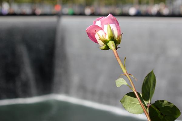 Current location, memorial, at the World Trade Center in NYC. (From the 9/11 photos stream on Flickr Creative Commons.)