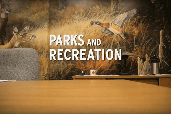 Parks and Recreation originally aired in 2009 on NBC and went on to create seven seasons.