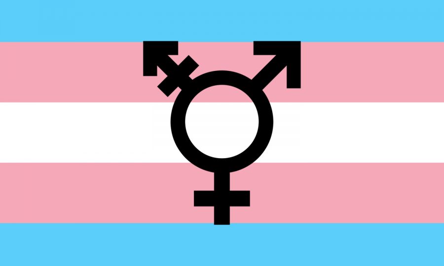 The Battle for Equality: Transgender Students Seek Acceptance