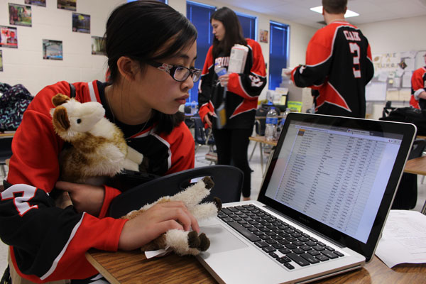 Junior Tiffany Vo glances at the computer screen to see all of the Texas schools competing in the state Academic Decathlon meet. Students participated in a total of ten events on Feb. 24-25. The team brought home a total of five medals and possibly broke a school record.  