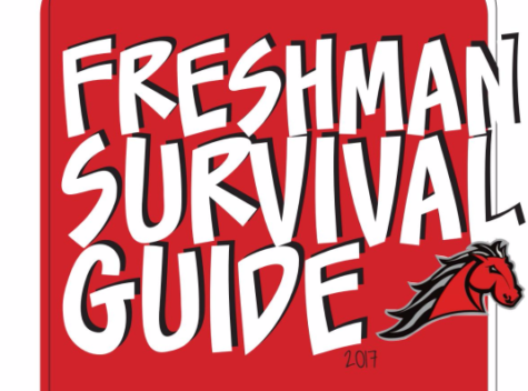 2017 Freshman Guide