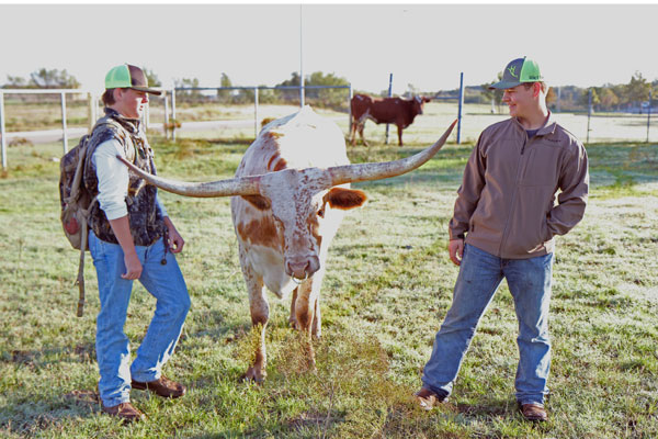 FFA members spend time inspecting and watching various animals. The program encourages each member to show their cattle in a variety of animal shows