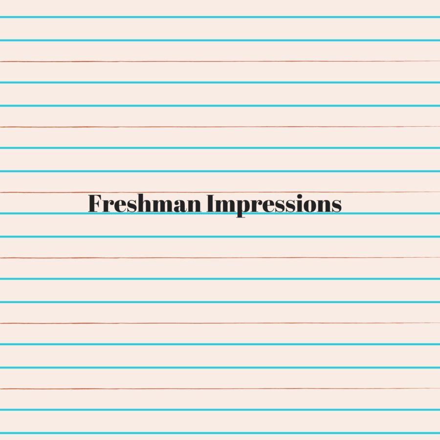 Freshman+Impressions+of+High+School