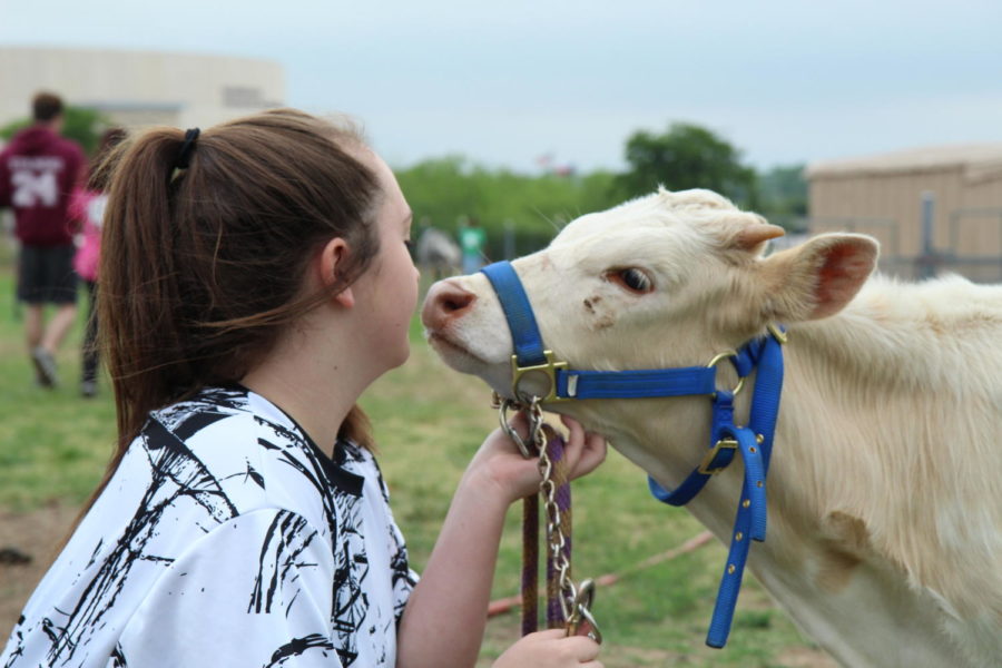 7 Reasons You Should Join FFA