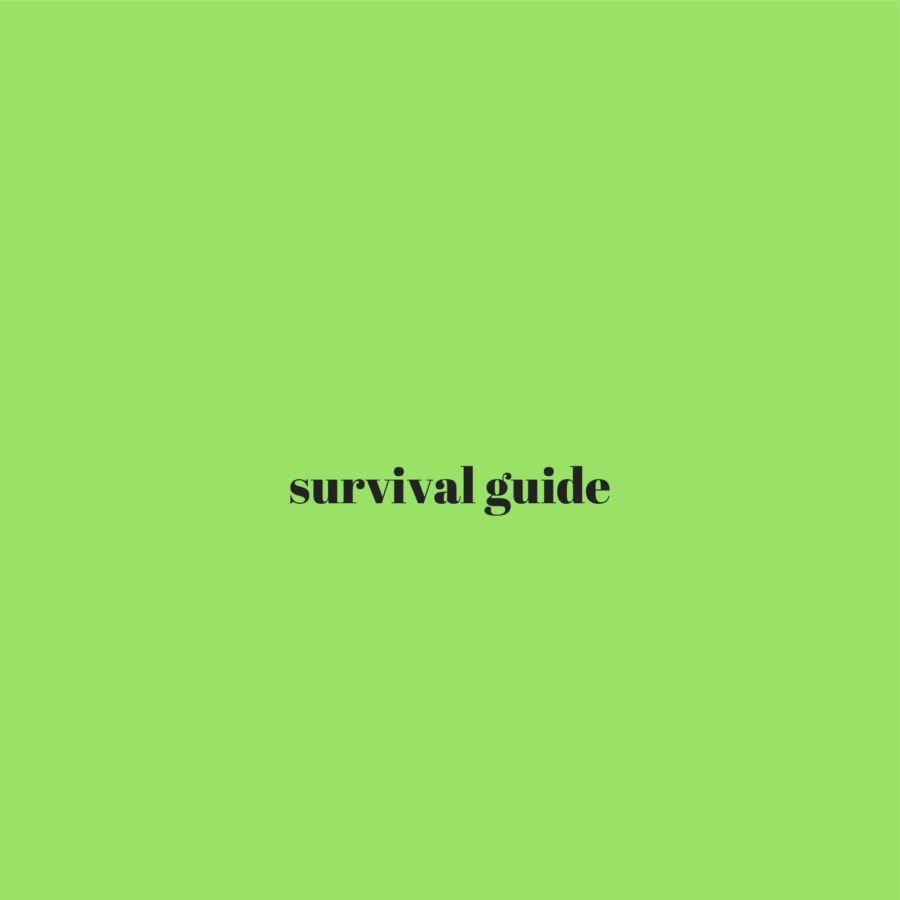 Black Friday Survival Guide