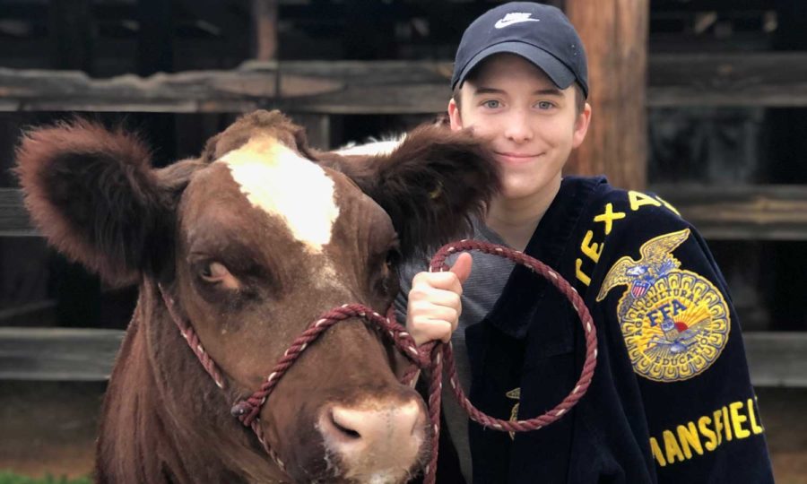 Luke Barnes, 11, walks his cow. Barnes serves as the Vice President of FFA. 