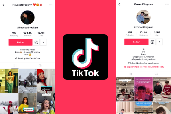 Students have taken advantage of the social platform TikTok that allows smaller content creators grow. 