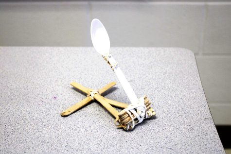 Students made catapults out of many different materials to test during Ms. Lowrys physics class.