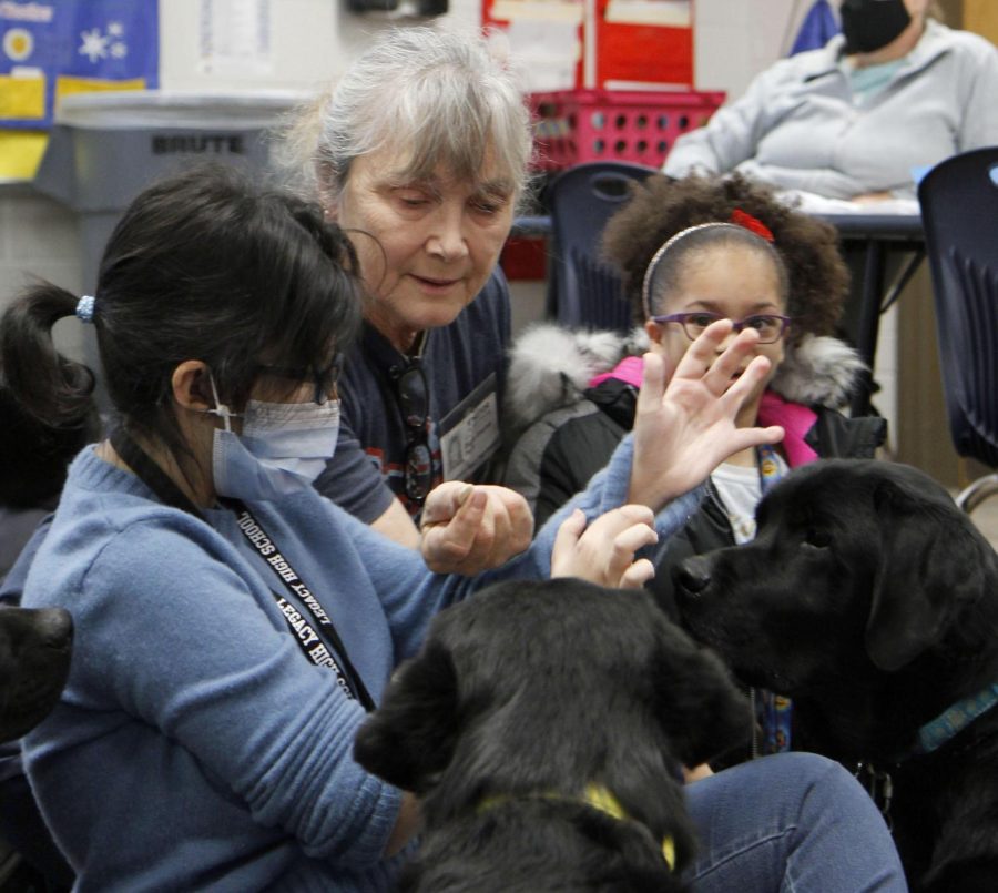 In class, Diane Greytak teaches Heba Joudeh, 11, how to pet and feed the service dogs. Therapy dogs visit classrooms Mondays to help relieve stress and anxiety.
