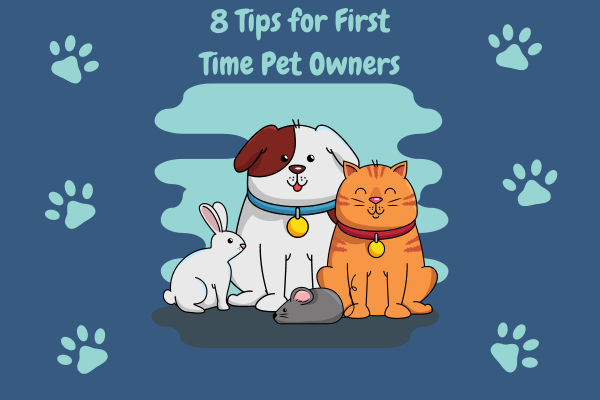 8 Tips for First Time Pet Owners