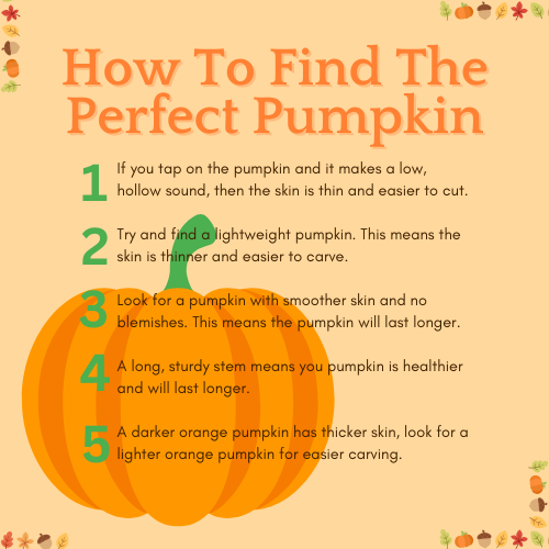 How to Find the Perfect Pumpkin